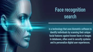 Facecheck ID Alternatives