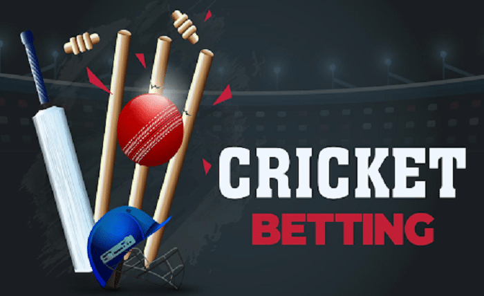 1xBet Cricket