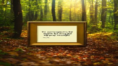 self love quotes